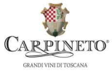 Logo Carpineto