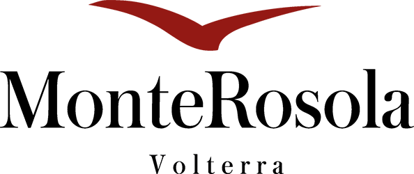 Logo Tenuta Monterosola