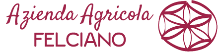 Logo Felciano