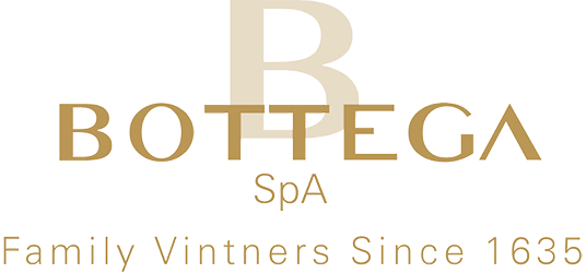Logo Bottega