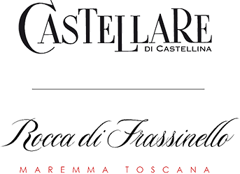 Logo Domini Castellare Di Castellina