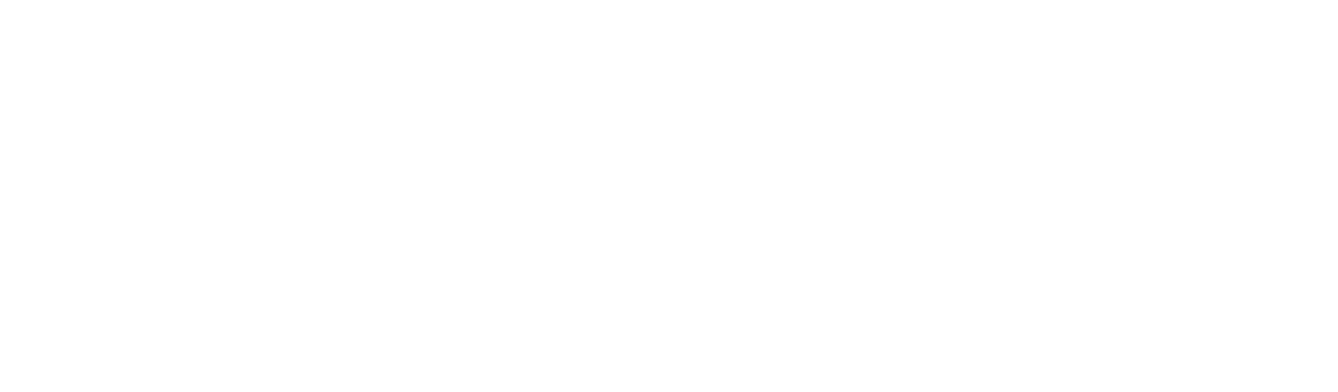 IIS Ricasoli Logo