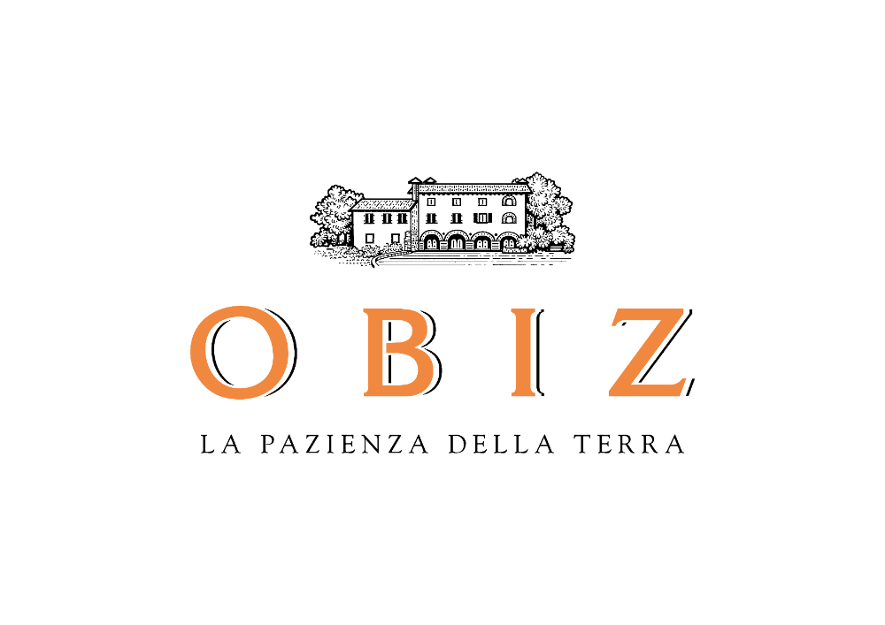 Logo Obiz