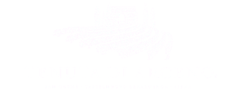 logo Tenuta Di Arceno masterclass wine&siena