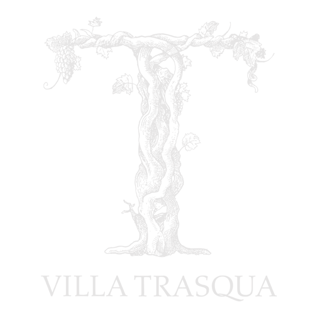 logo Tenuta Villa Trasqua masterclass ine&siena