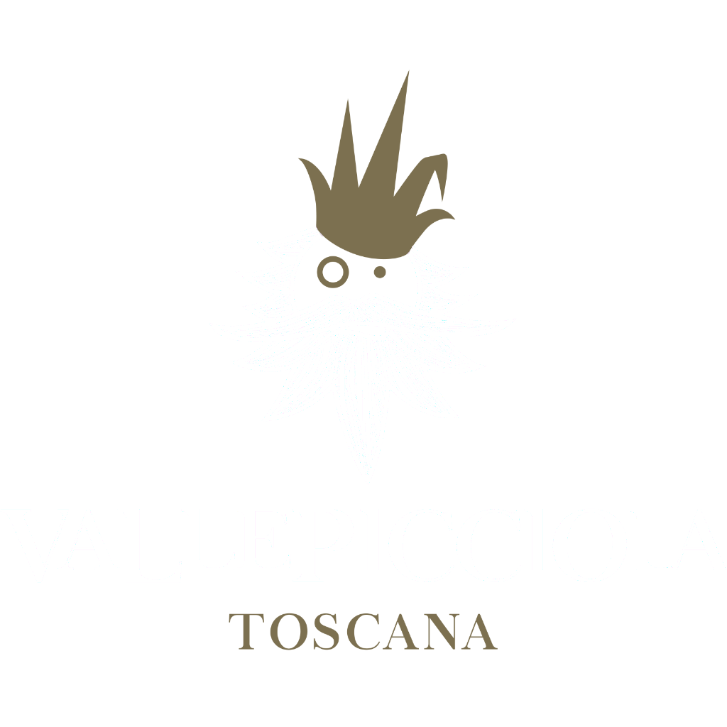 logo Vallepicciola masterclass wine&siena